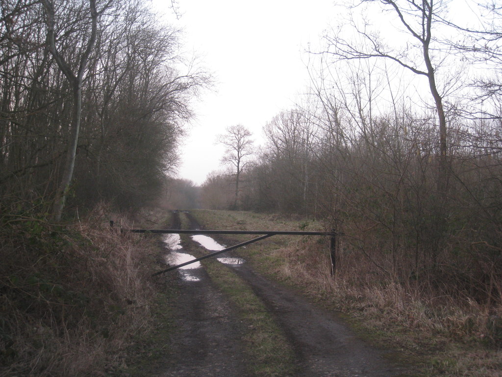 Track into Swinn Wood