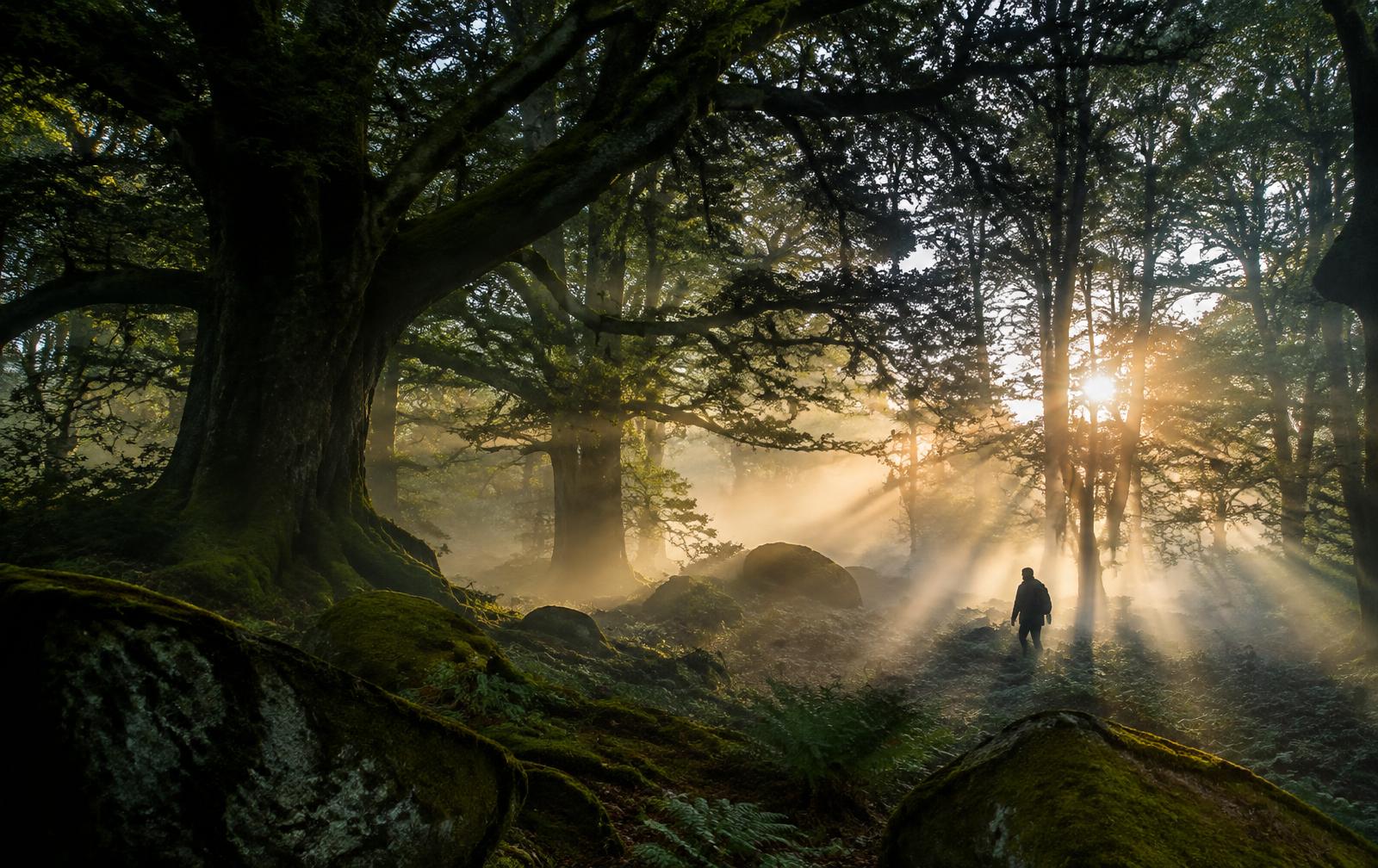 Nature & landscapes