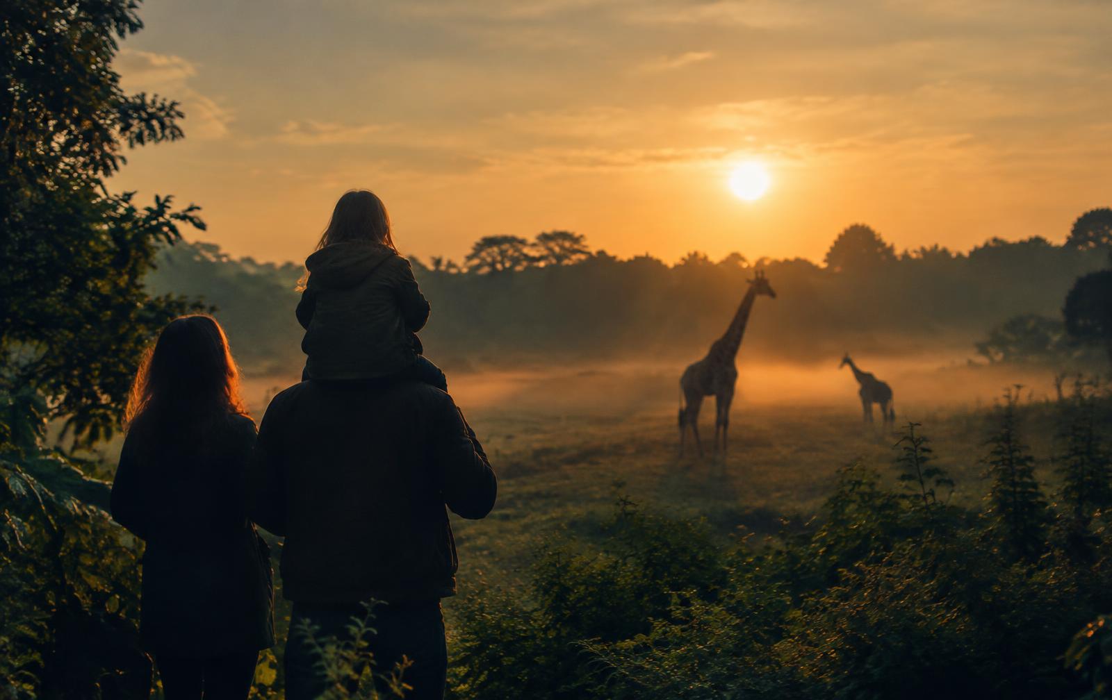Zoos, safari parks & farm parks in the UK